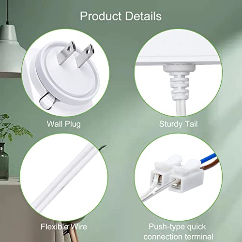 Rollerhouse  DC 12V/24V Plug-in Transformer DC Wall Adapte,White.