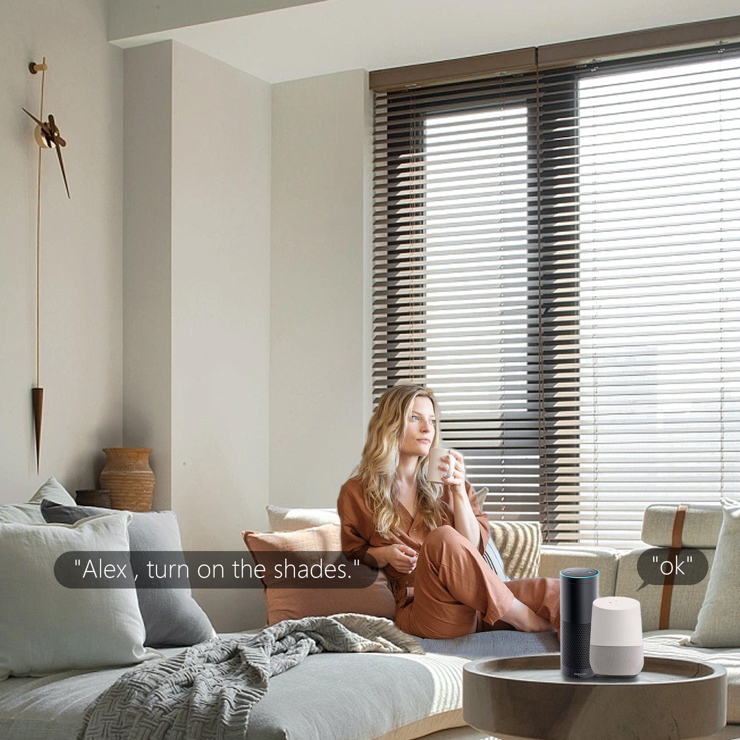 Smart Roller Blinds Motor for 1"(25mm) OD Tube, for Alexa,GoogleHome,Rechargeable - RollerHouses